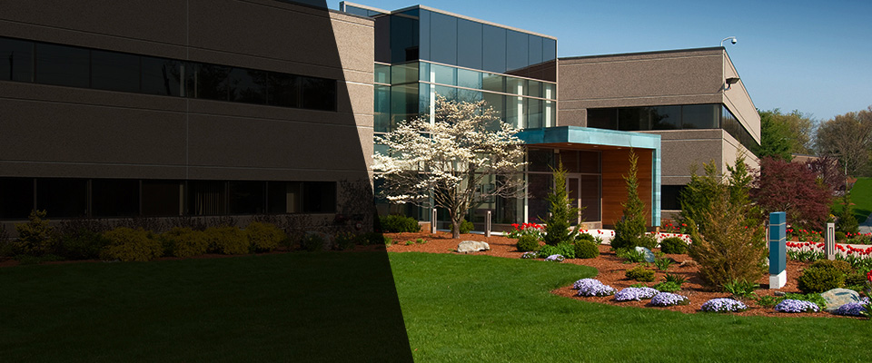 Lake Oswego Landscapers