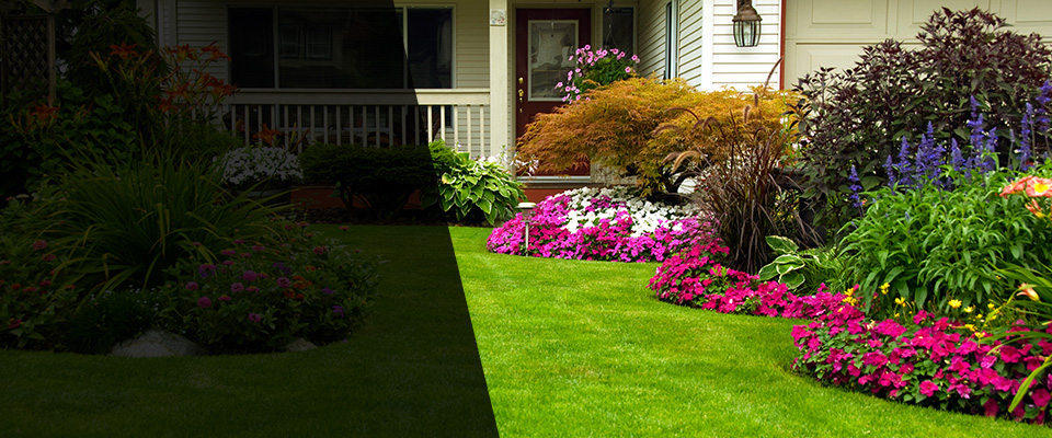 Lake Oswego Landscapers