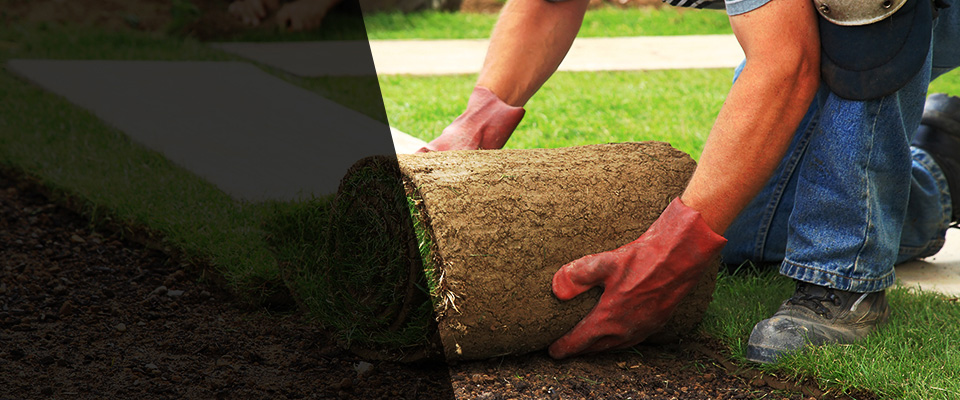 Lake Oswego Landscapers